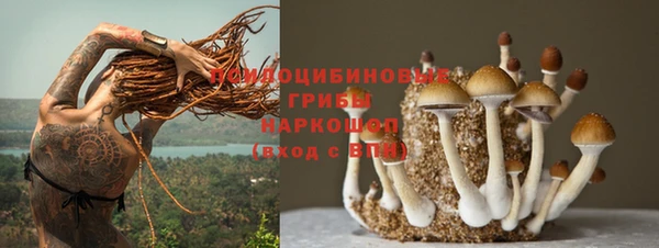 прущие грибы Остров