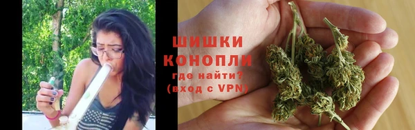 амф Пересвет
