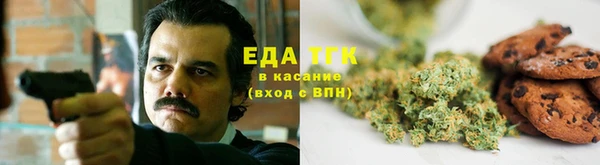 амф Пересвет