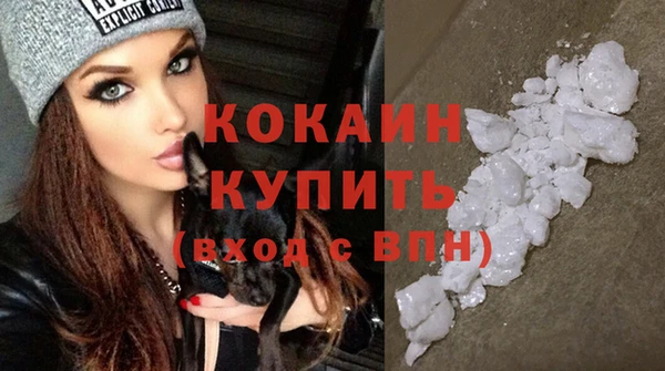 ГАЛЛЮЦИНОГЕННЫЕ ГРИБЫ Пестово