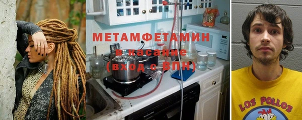 прущие грибы Остров