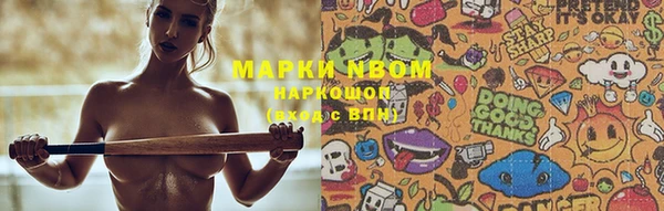 амф Пересвет