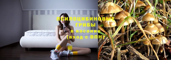 сатива Всеволожск