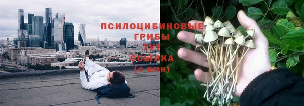 СК Переславль-Залесский