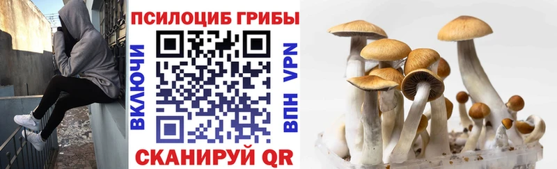 цены наркотик  Починок  Псилоцибиновые грибы ЛСД 